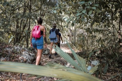 Wildlife spotted along the jungle trail inside the reserve