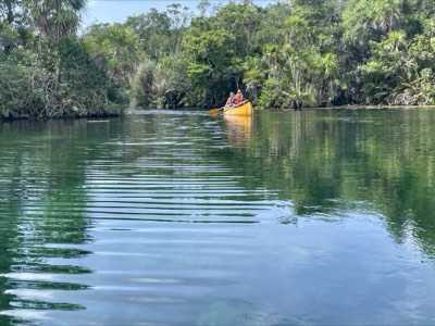 Paddling through the calm water of a jungle cenote