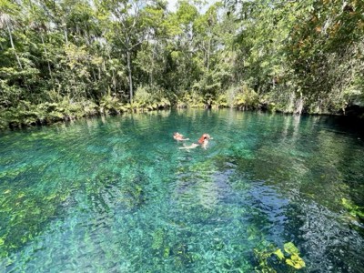 Open-air cenote where guests swim and cliff jump
