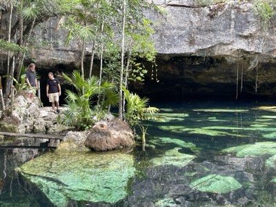 Open-air cenote ringed by jungle, its water clear and still
