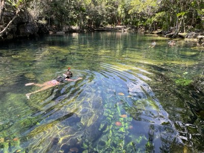 Swimmer floating in the crystal-clear water of an open cenote