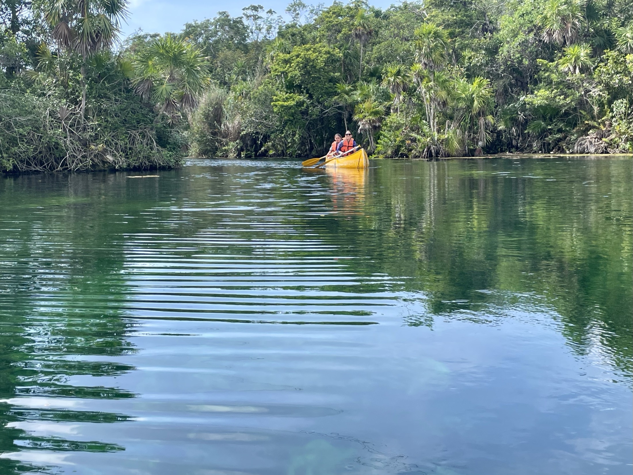 Paddling through the calm water of a jungle cenote