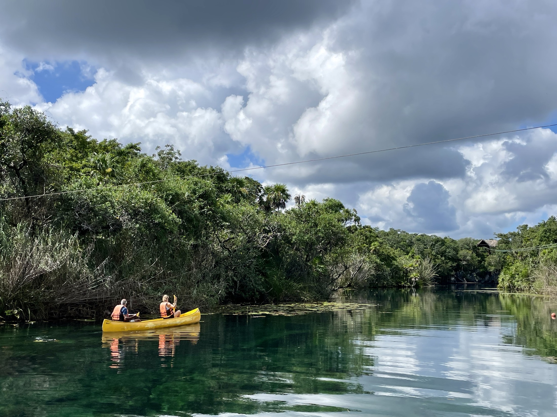 Canoe ride surrounded by jungle on all sides