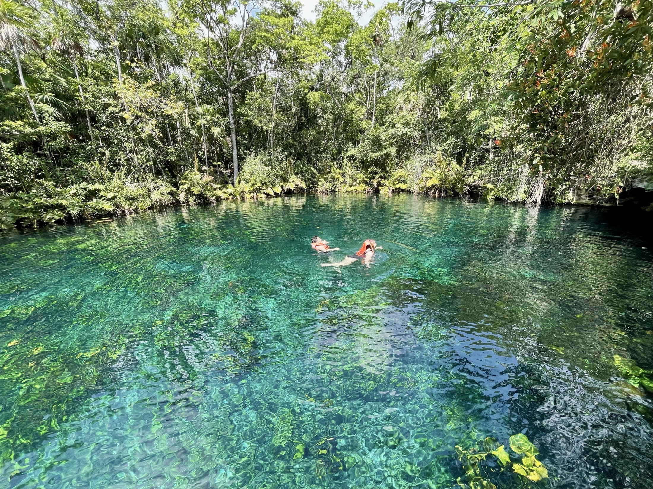 Open-air cenote where guests swim and cliff jump