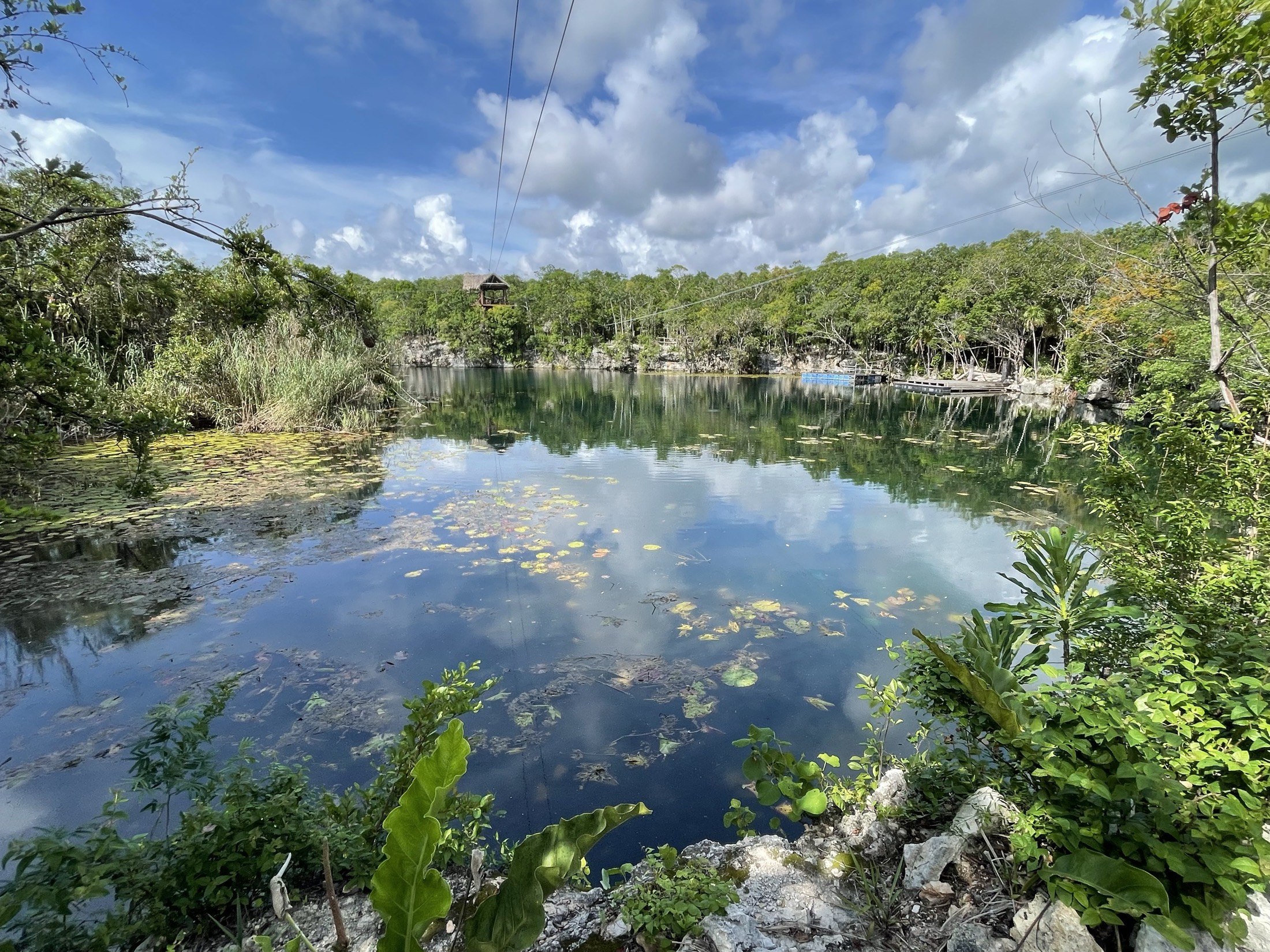 Wide open cenote with clear water and jungle edges