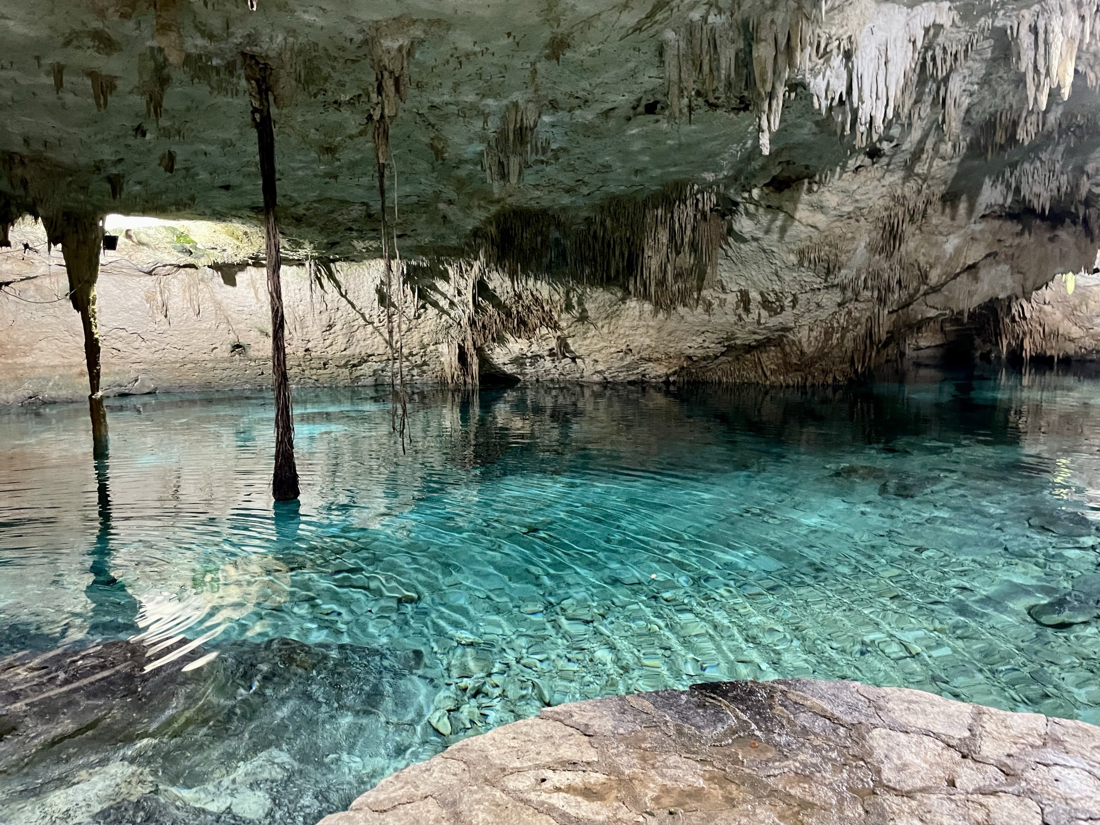 Swimming in the cool water beneath the jungle floor